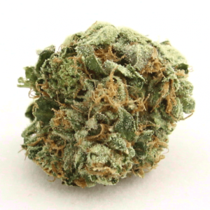 Buy AK-47 Strain