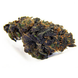 Blackberry Kush