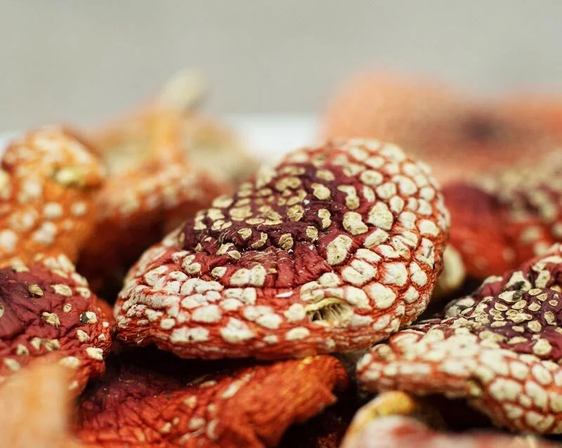 Dried Muscaria Mushroom (Fly Agaric)